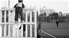dailyPhoto39
